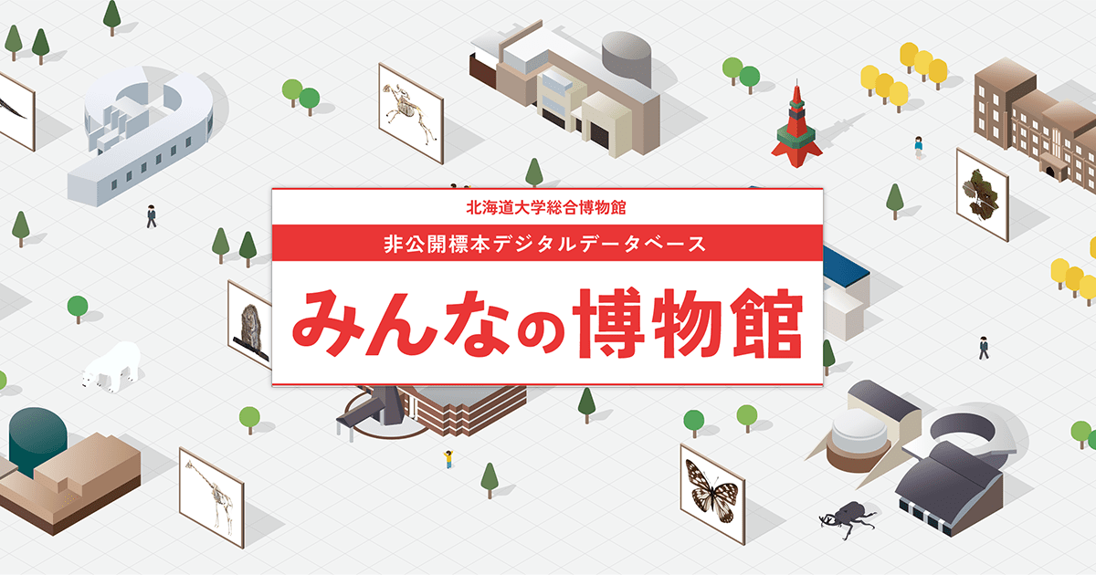 球顆状流紋岩 | みんなの博物館